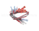 157935 Duke Harness,Wire Main Fwm