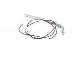 1595 Royalton Temp Probe Rtd 2K