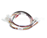 130201 Globe Wire Harness 3000 Series