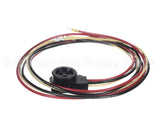 15M35 Lennox Molded Wiring Harness
