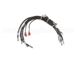160874 Groen Harness, Steamer High Voltage