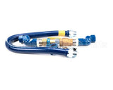 16125KIT2S48 Dormont 1-1/4 Dia., 48 Blue Hose, Snapfast, 2 Sw