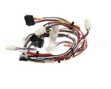 165931 Duke Harness,Lo-Voltage Muhc