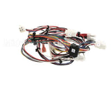 165931 Duke Harness,Lo-Voltage Muhc