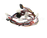 165931 Duke Harness,Lo-Voltage Muhc