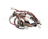 165931 Duke Harness,Lo-Voltage Muhc