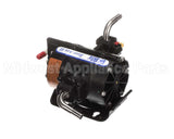 166-257-41 Everpure Gp Assembly Beer Ace W/Fittings