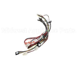 166047 Duke Harness, Control Dc - Irhs 3X4