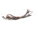 166047 Duke Harness, Control Dc - Irhs 3X4