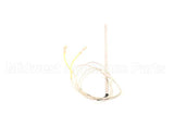 16645 Blodgett Probe, Thermistor