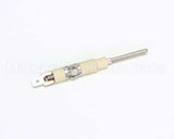 16857 Nieco Probe, Flame Sensing, Snap In