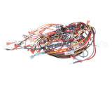 170908 Groen Harness, Intek Electric, Manual Fill