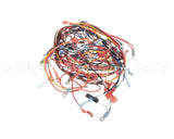 170908 Groen Harness, Intek Electric, Manual Fill