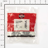 1713158SM Briggs & Stratton Hubdouble Pulley