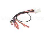 17241 Broaster Wire Assembly- 15 Pin, Gas