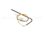 175101 Groen Rtd Probe, Large Kettles