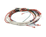 175288 Groen Wire Harness,Control Low Voltage, Gas