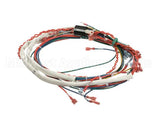 175288 Groen Wire Harness,Control Low Voltage, Gas