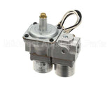1754904 Garland Valve-Rt Basotrol Dual(G96)Lp