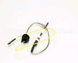 175534 Duke Sensor,Lower Burner