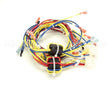 175607 Duke Harness,Wire Low Voltage