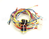 175607 Duke Harness,Wire Low Voltage