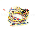 175607 Duke Harness,Wire Low Voltage
