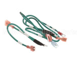 175610 Duke Harness,Wire Ground