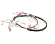 175759 Duke Harness,Wiring Low Volt.ce Fbb