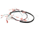 175759 Duke Harness,Wiring Low Volt.ce Fbb
