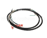 176424 Duke Harnesspurge Cord Blower
