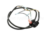 176425 Duke Harness,Purge Pcb To Ignition