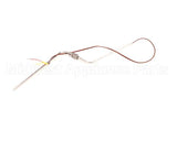 17702 Broaster Probe-Formed, Ug, Gas St