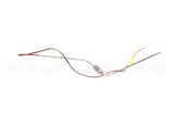 17702 Broaster Probe-Formed, Ug, Gas St