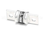 180042 Champion - Moyer Diebel Fuse T 100A 300V Fast Act