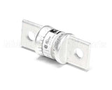 180042 Champion - Moyer Diebel Fuse T 100A 300V Fast Act