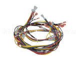 18351 Blodgett Harness,Wiring Inf/8Stpt 2Sp