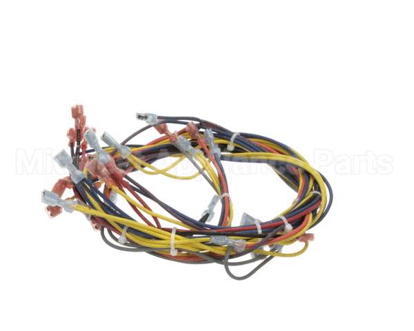 18351 Blodgett Harness,Wiring Inf/8Stpt 2Sp