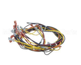 18351 Blodgett Harness,Wiring Inf/8Stpt 2Sp