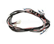 1859806 Garland Relay Harness-Export
