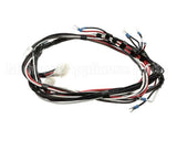 1859806 Garland Relay Harness-Export