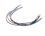 1859813 Garland Main Heater Harness