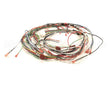 1859817 Garland Control Harness