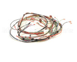 1859817 Garland Control Harness