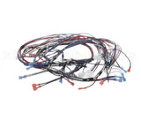 1859854 Garland Ignition Harness