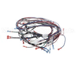 1859854 Garland Ignition Harness