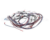 1859854 Garland Ignition Harness