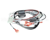 1859861 Garland 120 Volt Harness