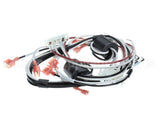 1859861 Garland 120 Volt Harness