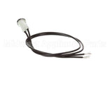 18601-1150 Carter Hoffmann Red Pilot Light 250V